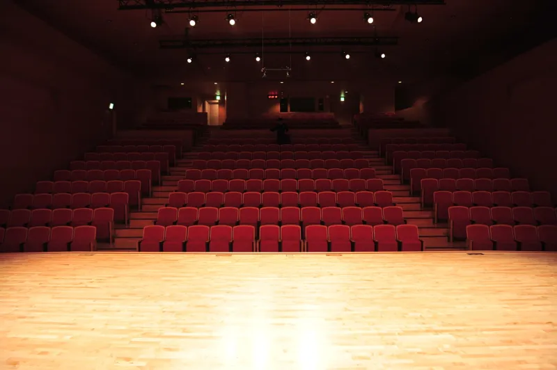 No Crowd, No Signal: What Happens to Performers When the Room Goes Silent